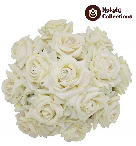 White Rose Juda